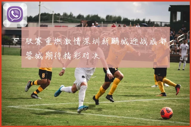 联赛重燃激情深圳新鹏城迎战成都蓉城期待精彩对决