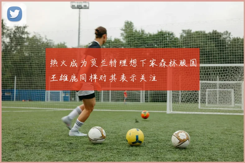 热火成为莫兰特理想下家森林狼国王雄鹿同样对其表示关注